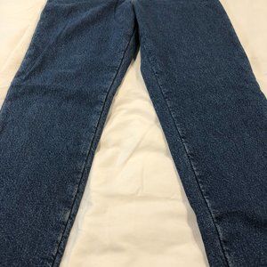 Biker/Snow Birds LL Bean Men's Double L Jeans, Flannel-Lined, Classic Fit